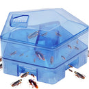 Trampa Para Cucarachas